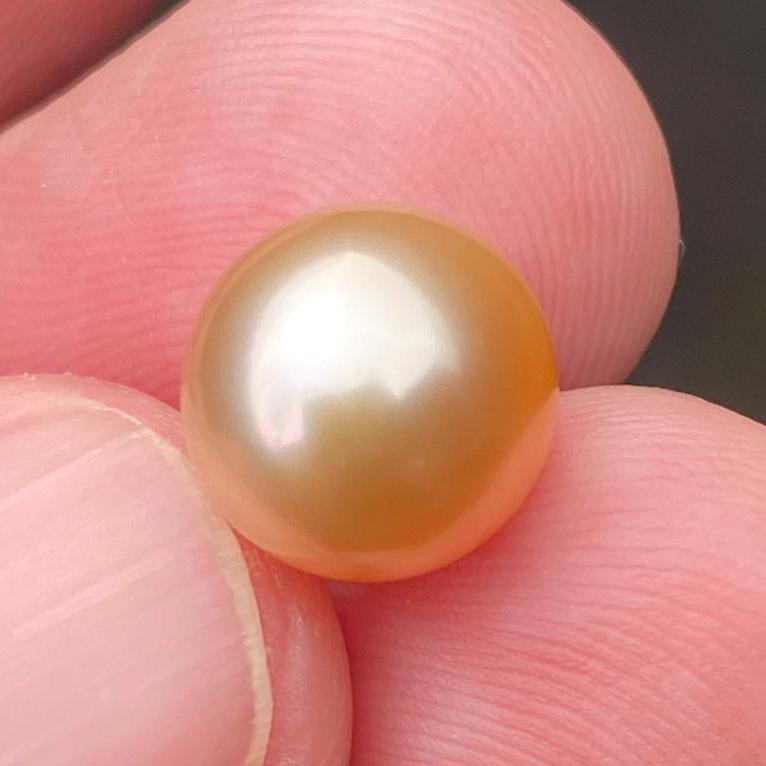 10x11mm Loose South Sea Pearl Seawater Pearl Beads Sea Pearl (Amr-4)