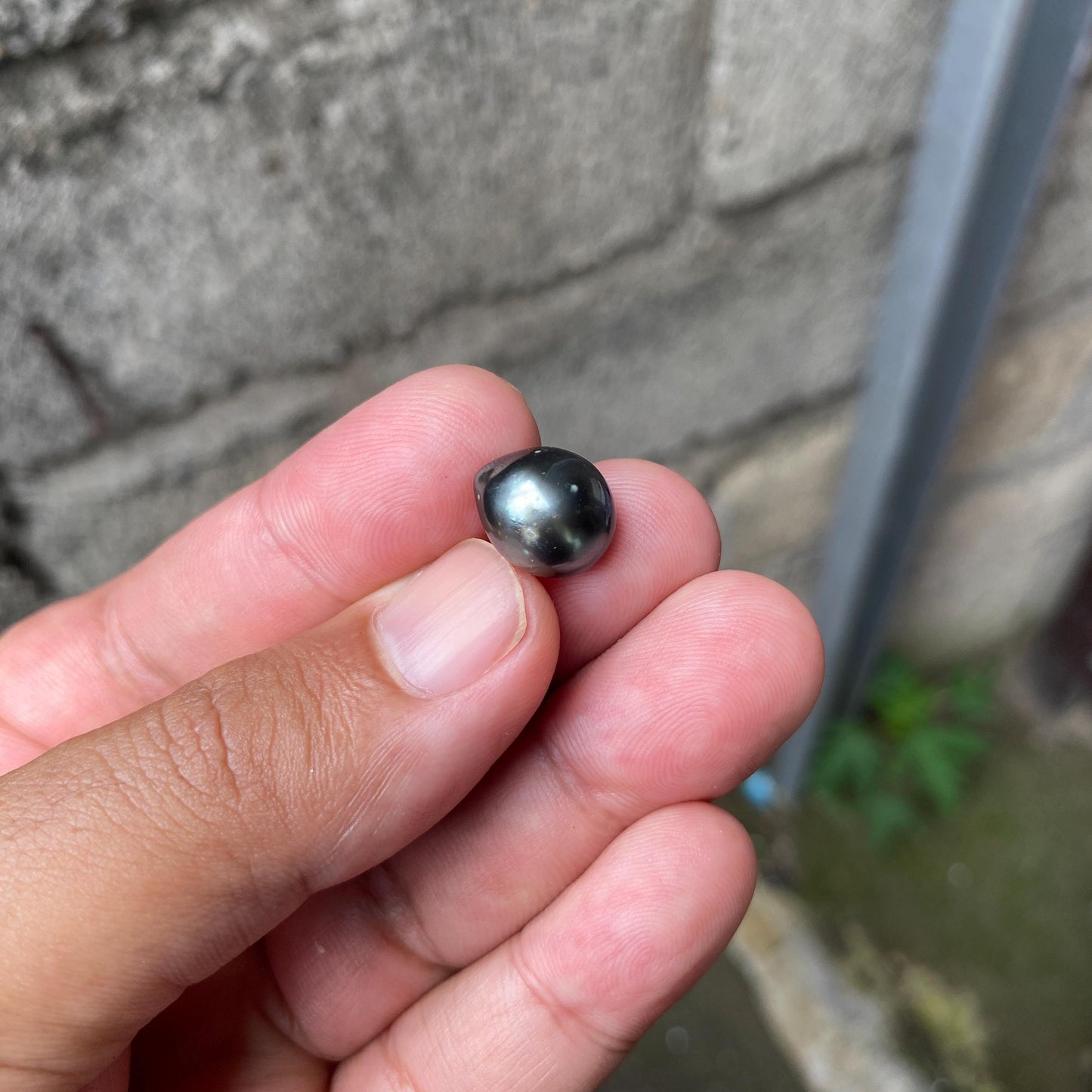 10.5mm Loose South Sea Pearl Seawater Pearl Beads Black Pearl (BP-5)