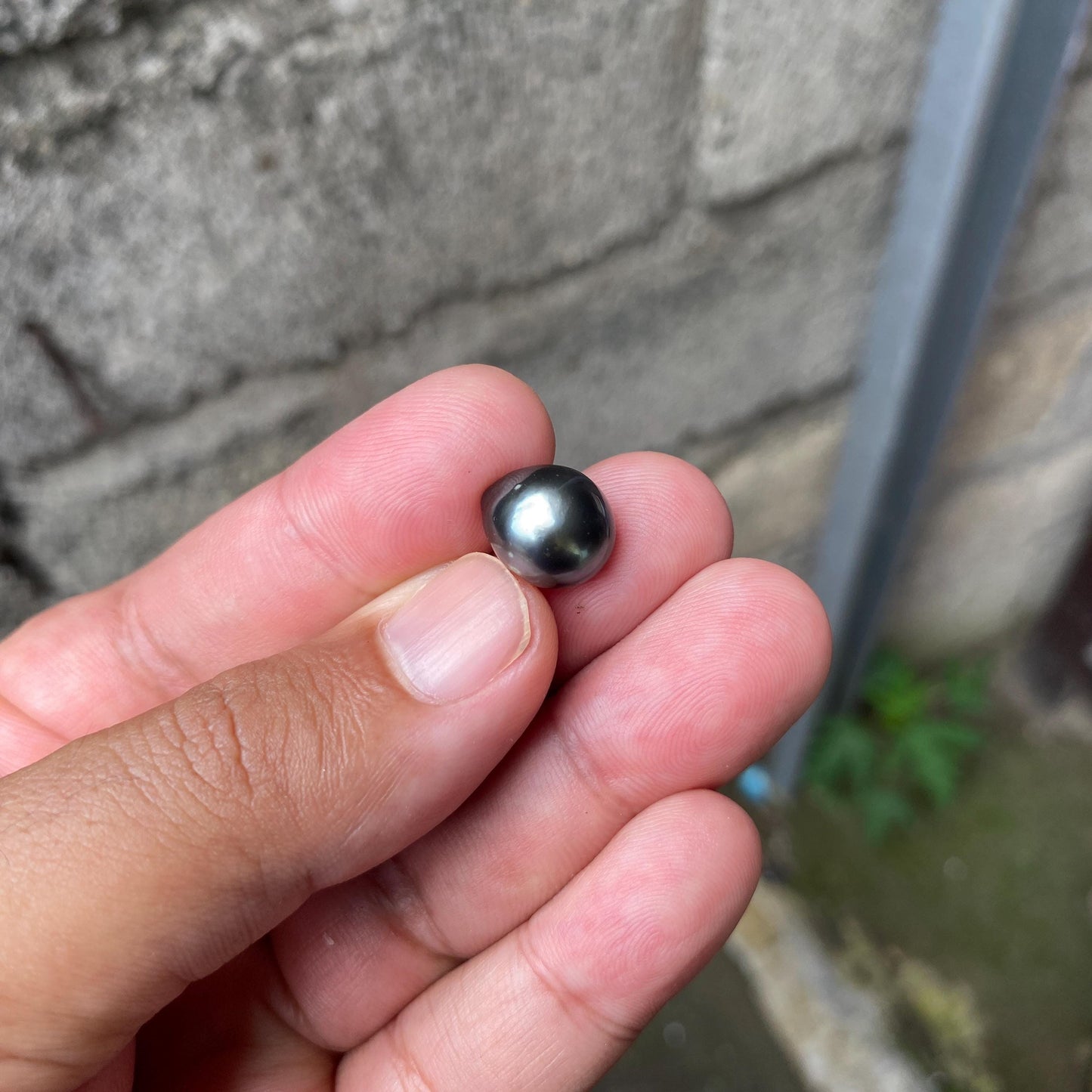 10.5mm Loose South Sea Pearl Seawater Pearl Beads Black Pearl (BP-5)