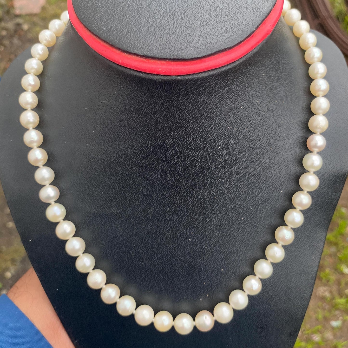 Real south sea pearl saltwater pearl seawater pearl Necklace (BROE-7) BoZorX