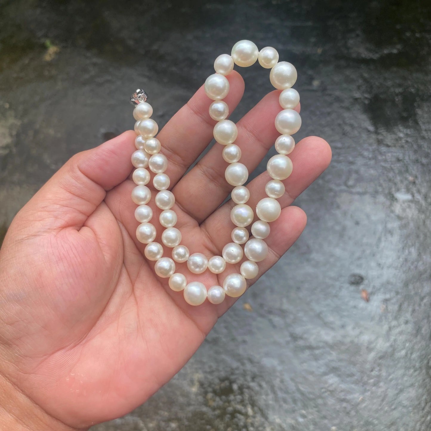 White South Sea Pearl Necklace Saltwater Pearl Necklace Seawater Pearl Necklace (Luster More Than The Photo and Video) (NeW)