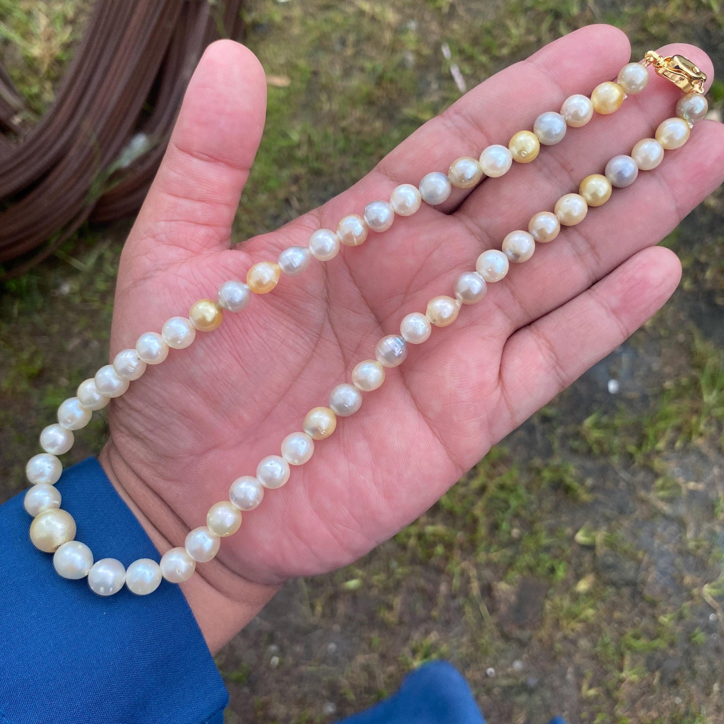 Real south sea pearl saltwater pearl seawater pearl Necklace (BROE-6)