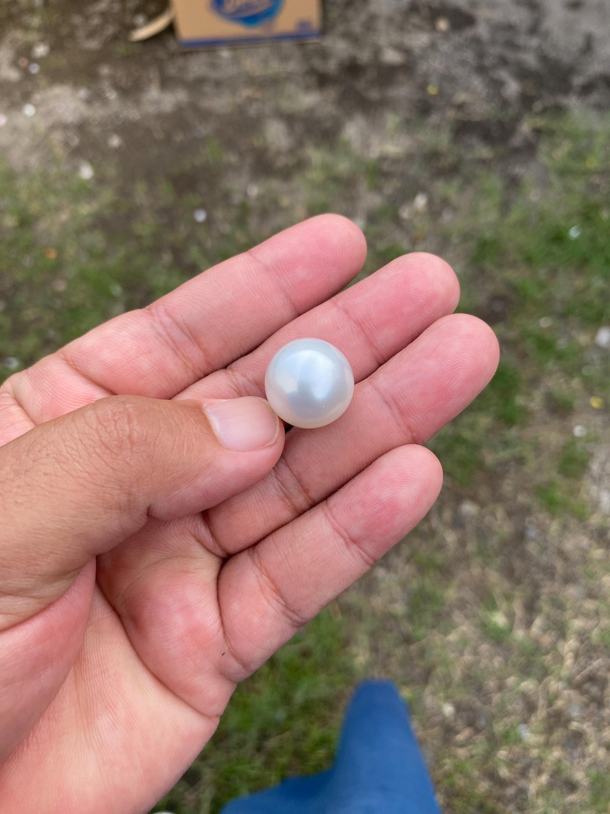 BIG SIZE High Grade Limited South Sea Pearl Seawater Pearl Saltwater Pearl Undrilled F1 BoZorX