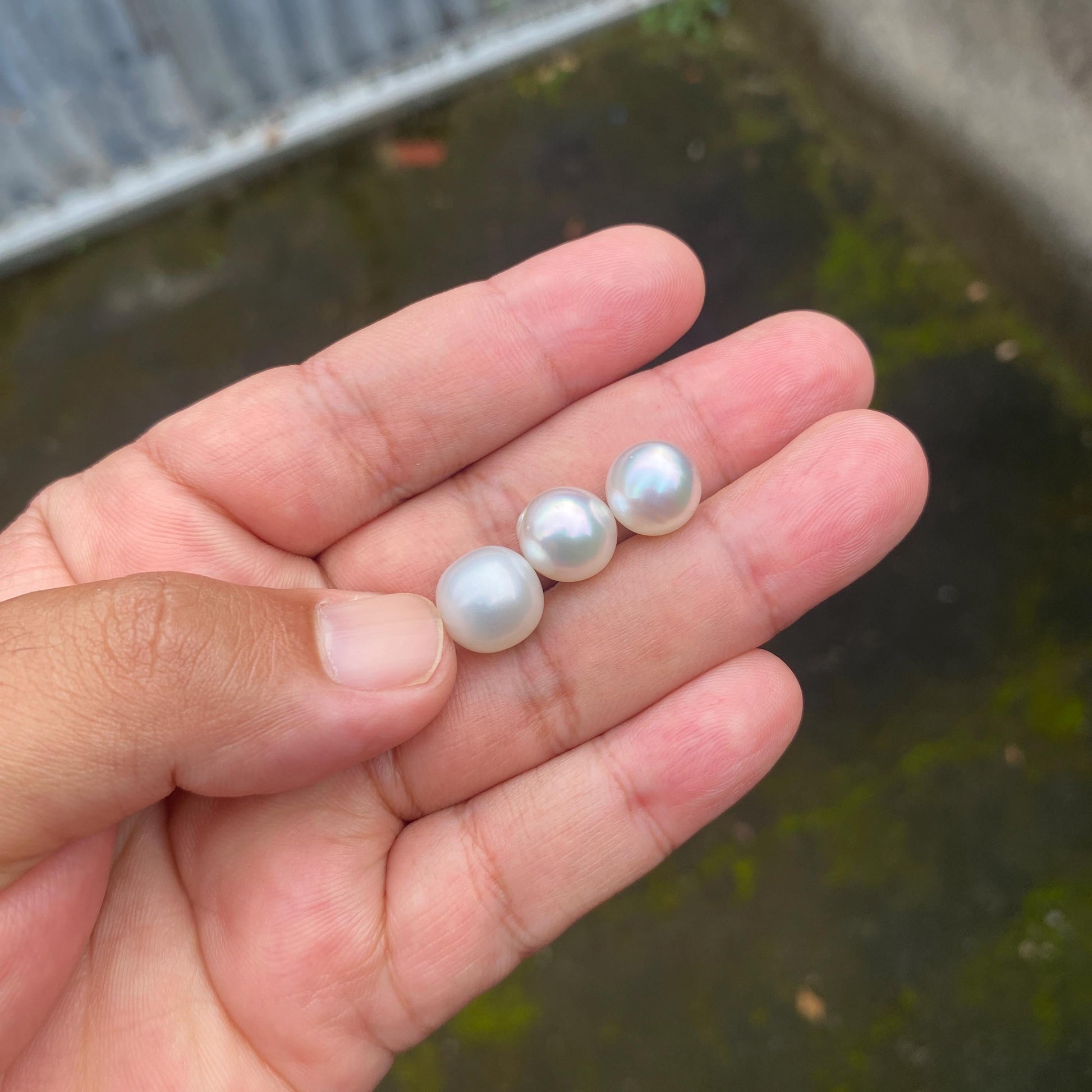 3 Pieces 10.5-11.5mm Loose South Sea Pearl Seawater Pearl Beads Sea Pearl (Amr-1) BoZorX