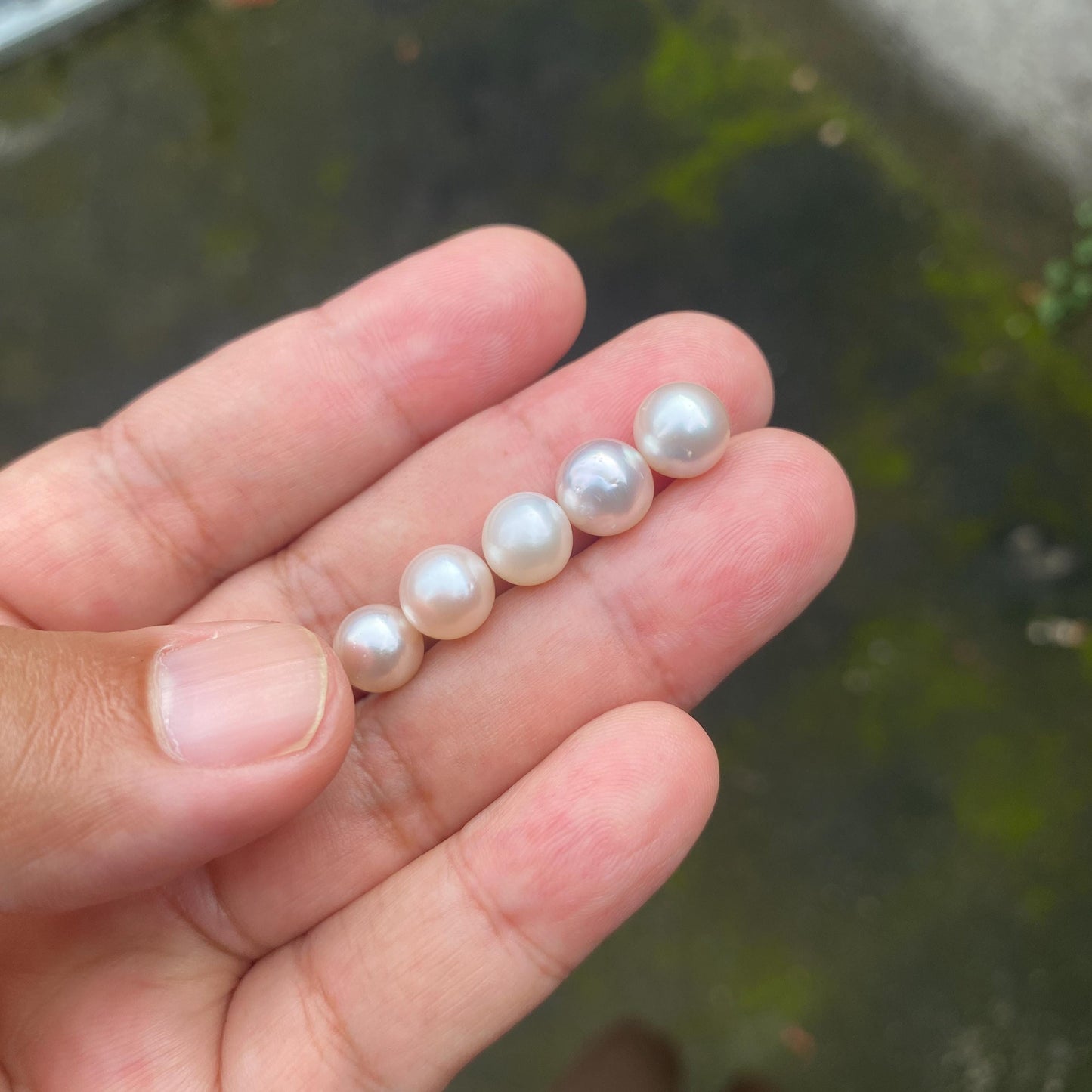 5 Pieces 8-9mm Loose South Sea Pearl Seawater Pearl Beads Sea Pearl (Amr-2)