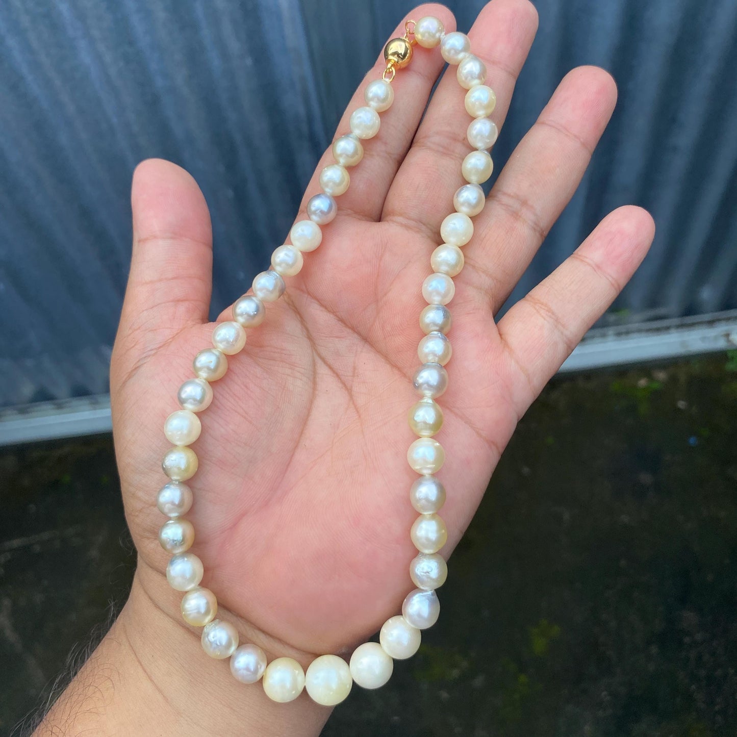 South Sea Pearl Saltwater Seawater Pearl Necklace  (F-15)