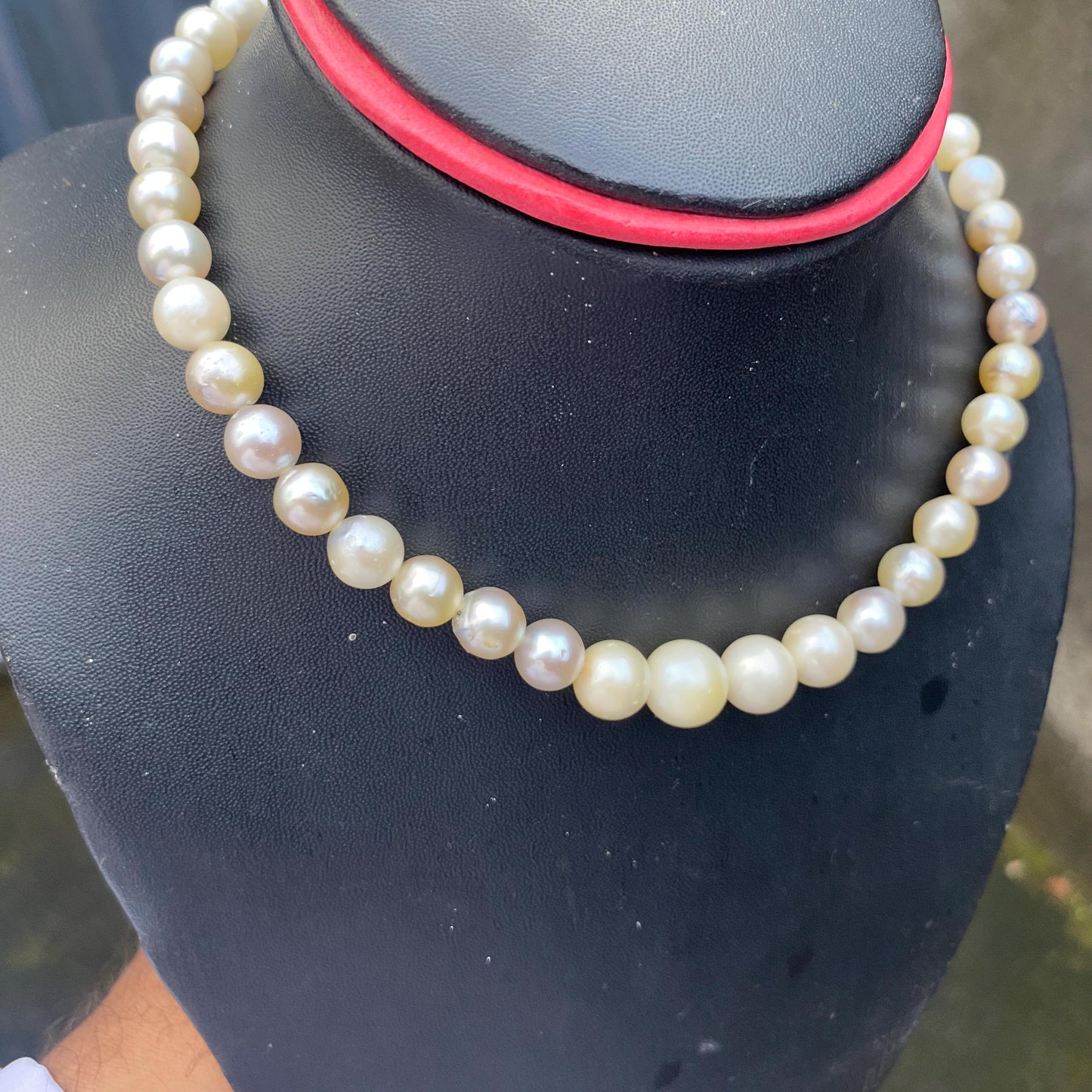 South Sea Pearl Saltwater Seawater Pearl Necklace  (F-15)