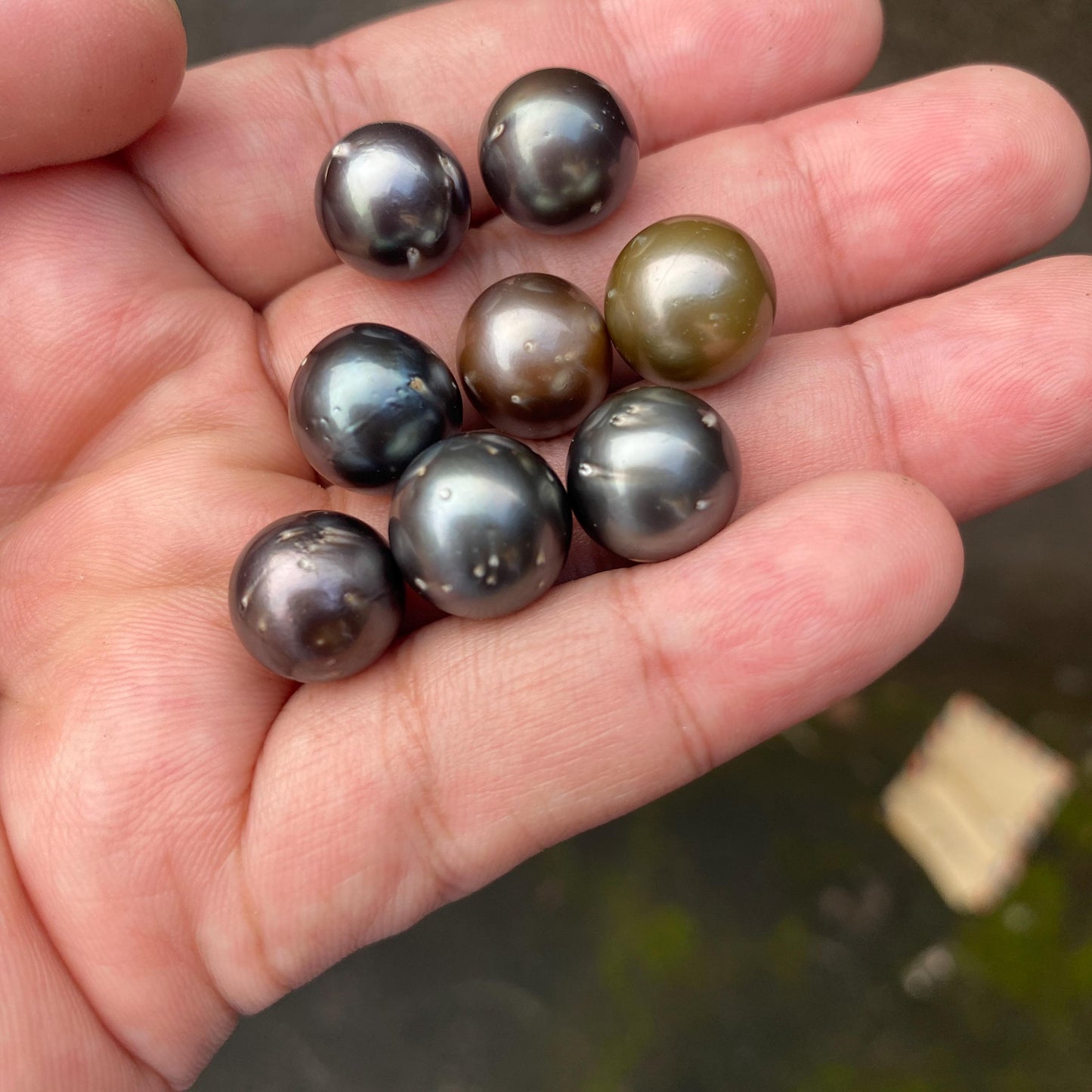 8 Pieces 12-12.5mm Loose South Sea Pearl Seawater Pearl Beads Black Pearl (Blk-2)