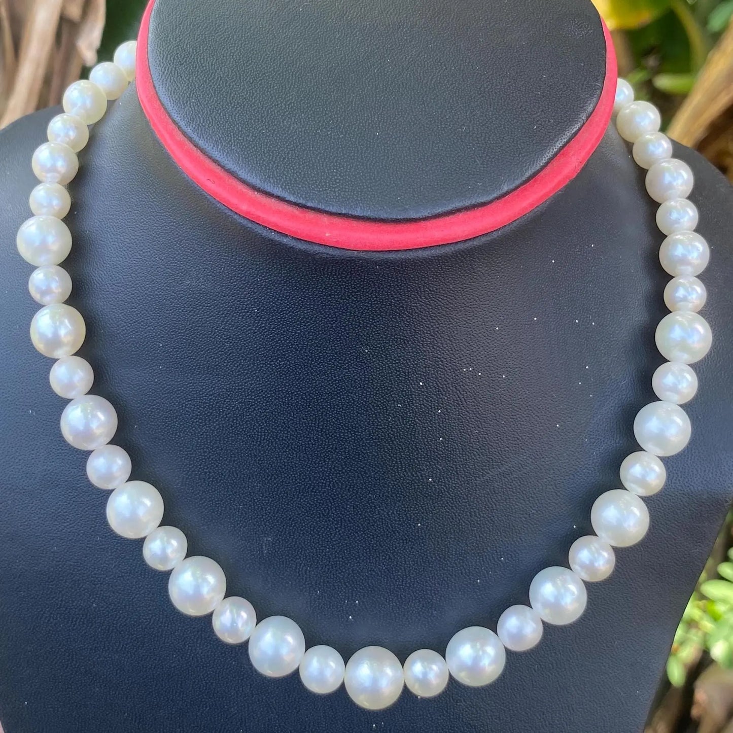 White South Sea Pearl Necklace Saltwater Pearl Necklace Seawater Pearl Necklace (Luster More Than The Photo and Video) (NeW)