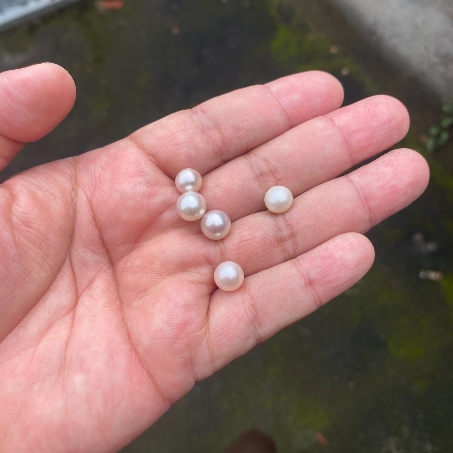 5 Pieces 8-9mm Loose South Sea Pearl Seawater Pearl Beads Sea Pearl (Amr-2) BoZorX