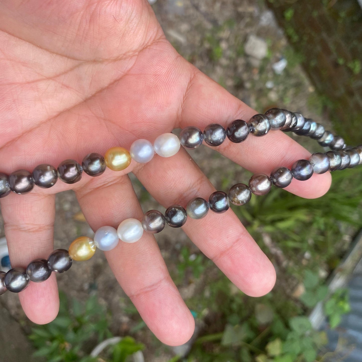 Real Tahitian South Sea Pearl Saltwater Tahitian Pearl Seawater Black Pearl Necklace, Pearl size 7.5-10mm (KH) BoZorX