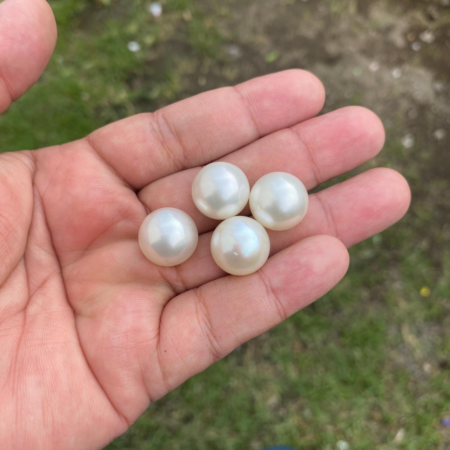 4 Pieces 15mm High Grade Big Size Limited South Sea Pearl Seawater Pearl Saltwater Pearl Undrilled BoZorX