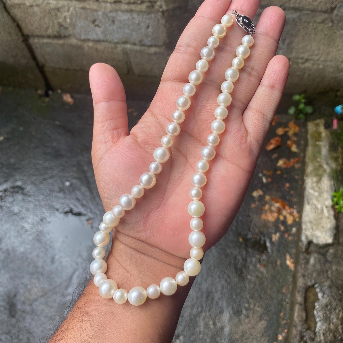 White South Sea Pearl Necklace Saltwater Pearl Necklace Seawater Pearl Necklace (Luster More Than The Photo and Video) (NeW)