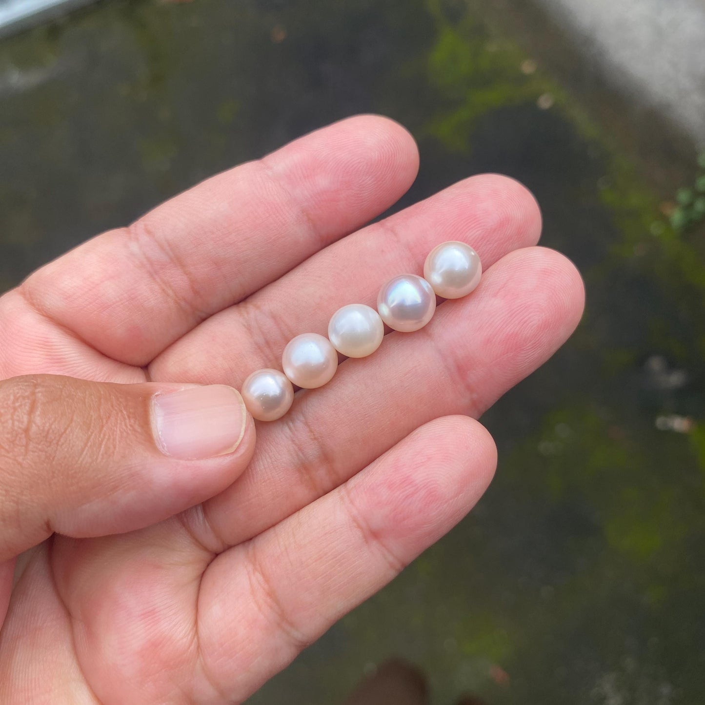 5 Pieces 8-9mm Loose South Sea Pearl Seawater Pearl Beads Sea Pearl (Amr-2)