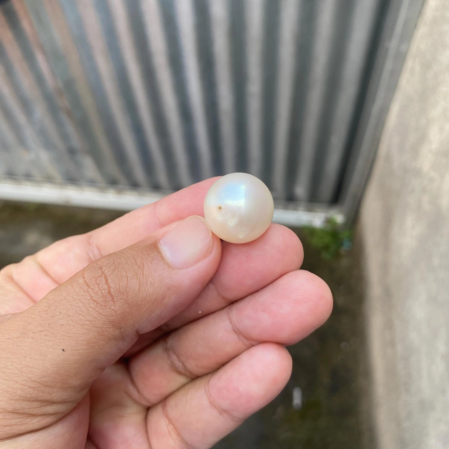 Indonesia 17x17.5mm Loose South Sea Pearl Seawater Pearl Beads Big Size (BSP-1) BoZorX