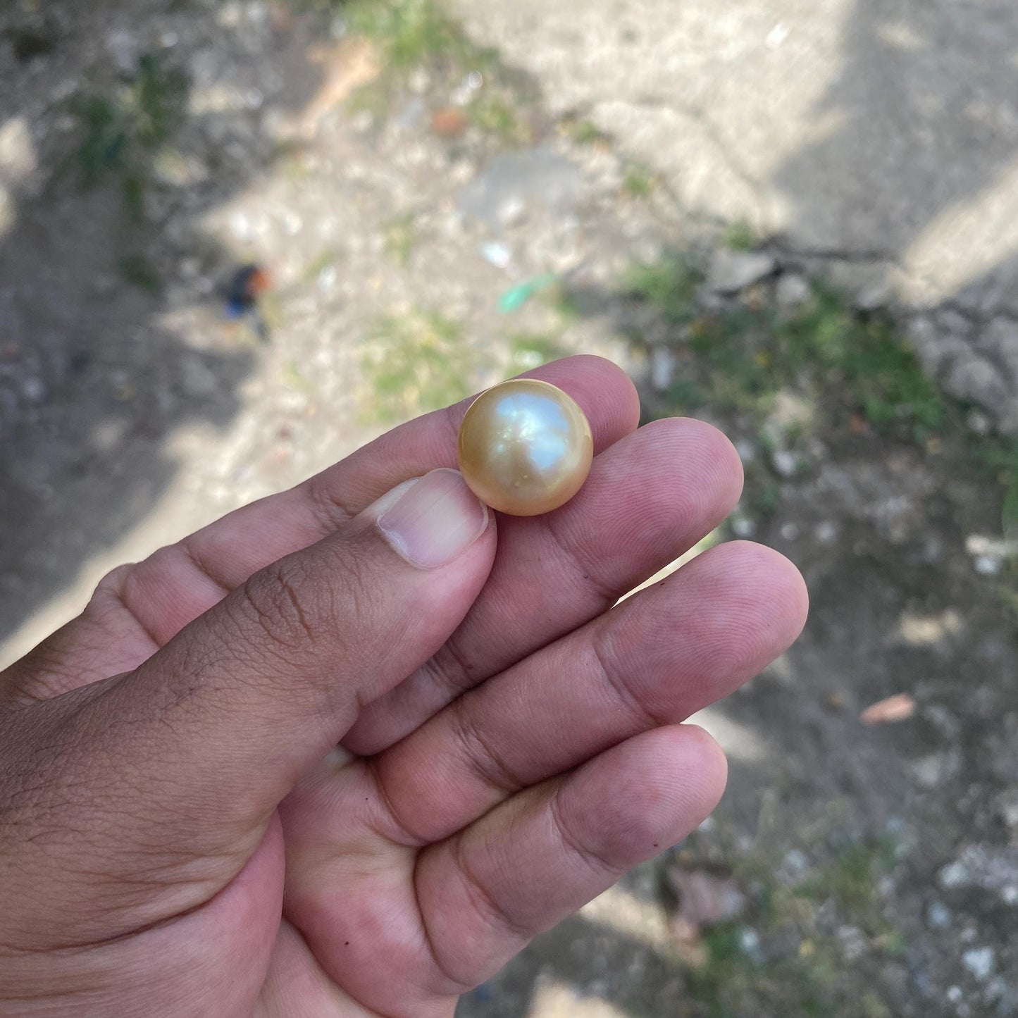 Big Size Saltwater Pearl 17.5mm Loose South Sea Pearl Seawater Pearl Beads Big Size South Sea Pearl Super Size Sea Pearl (BZ-1)