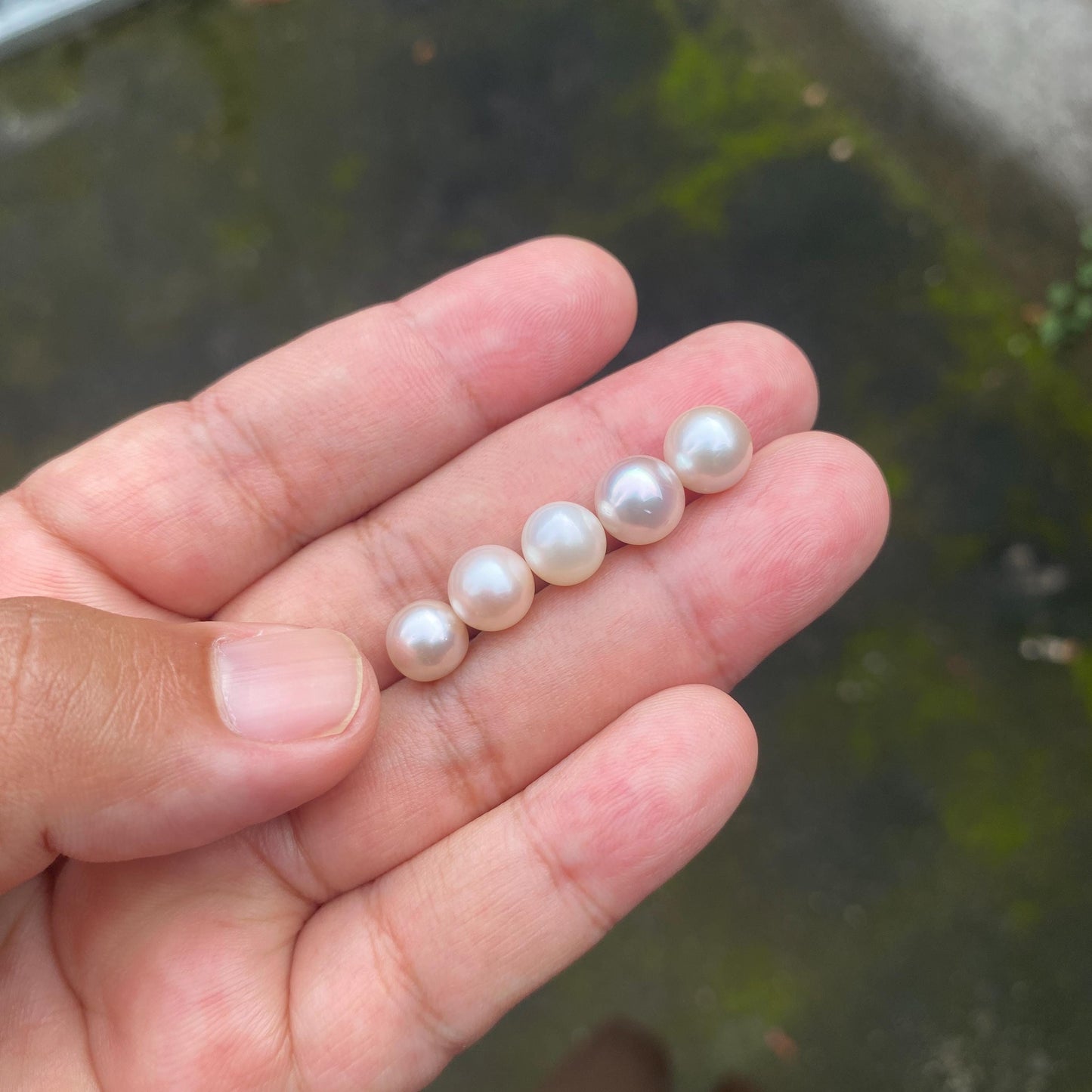 5 Pieces 8-9mm Loose South Sea Pearl Seawater Pearl Beads Sea Pearl (Amr-2)