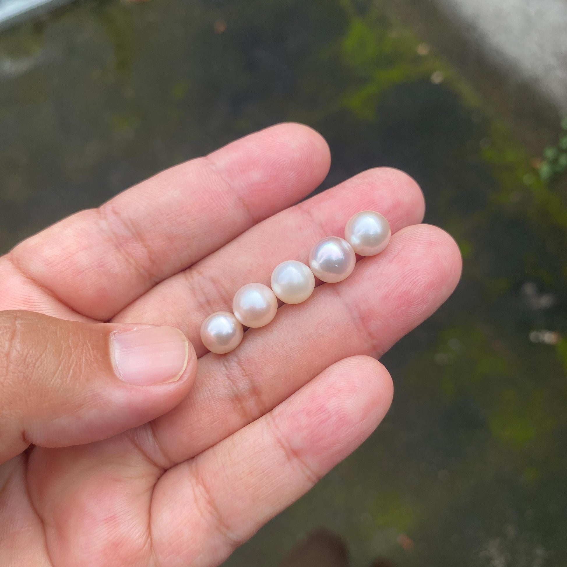 5 Pieces 8-9mm Loose South Sea Pearl Seawater Pearl Beads Sea Pearl (Amr-2) BoZorX