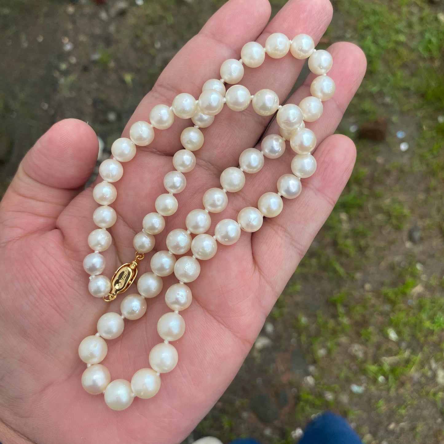 Real south sea pearl saltwater pearl seawater pearl Necklace (BROE-7) BoZorX