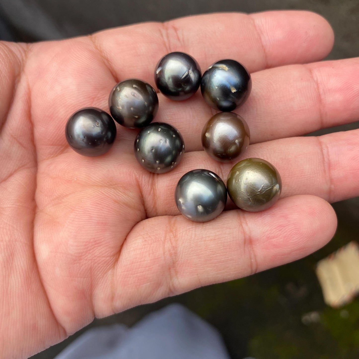 8 Pieces 12-12.5mm Loose South Sea Pearl Seawater Pearl Beads Black Pearl (Blk-2) BoZorX