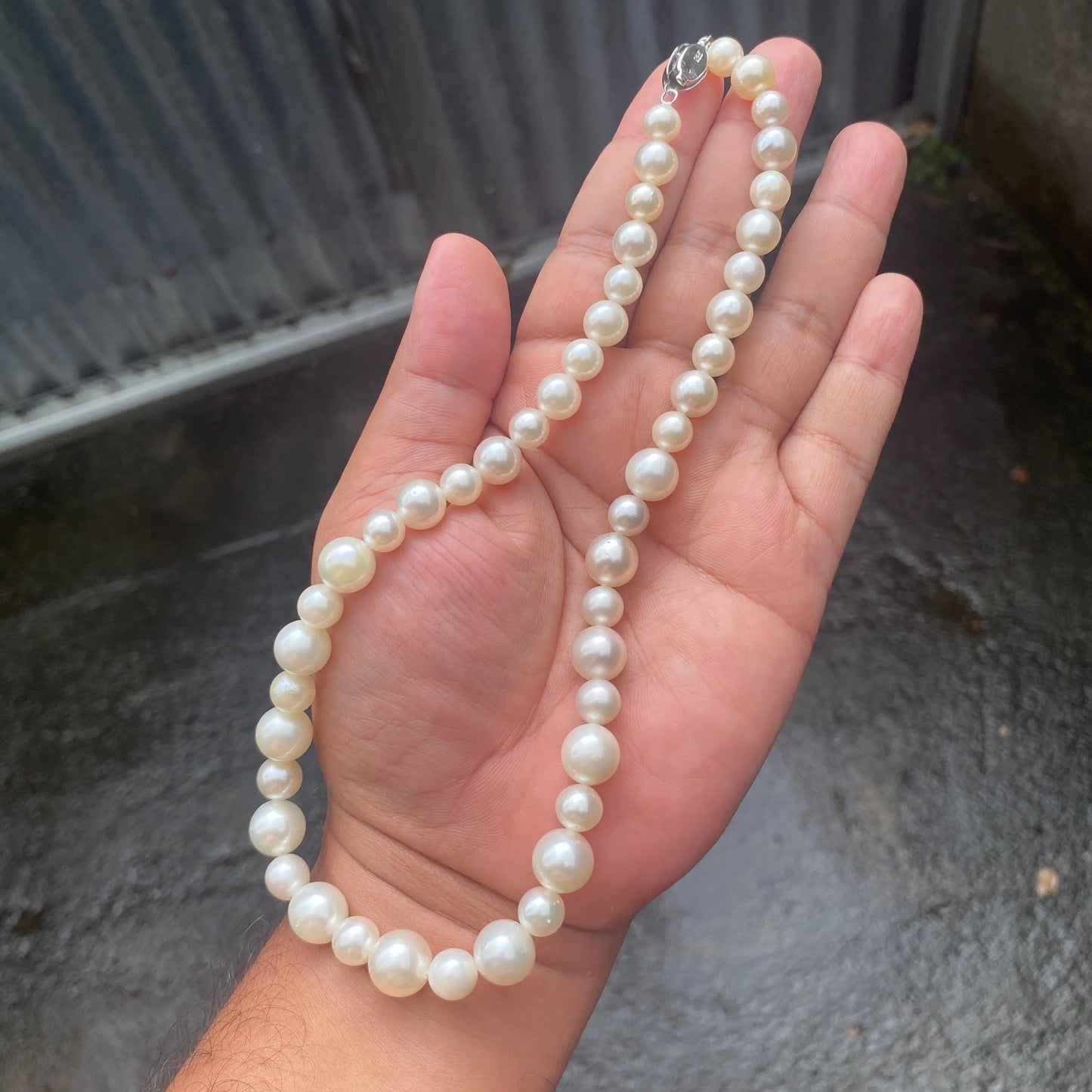 White South Sea Pearl Necklace Saltwater Pearl Necklace Seawater Pearl Necklace (Luster More Than The Photo and Video) (NeW) BoZorX