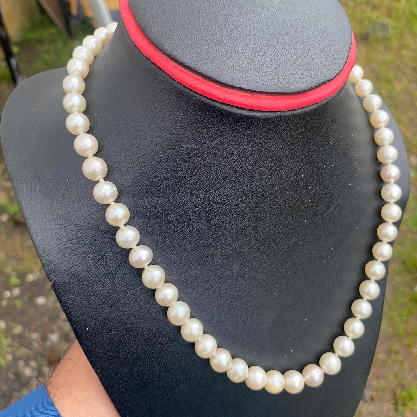 Real south sea pearl saltwater pearl seawater pearl Necklace (BROE-7)