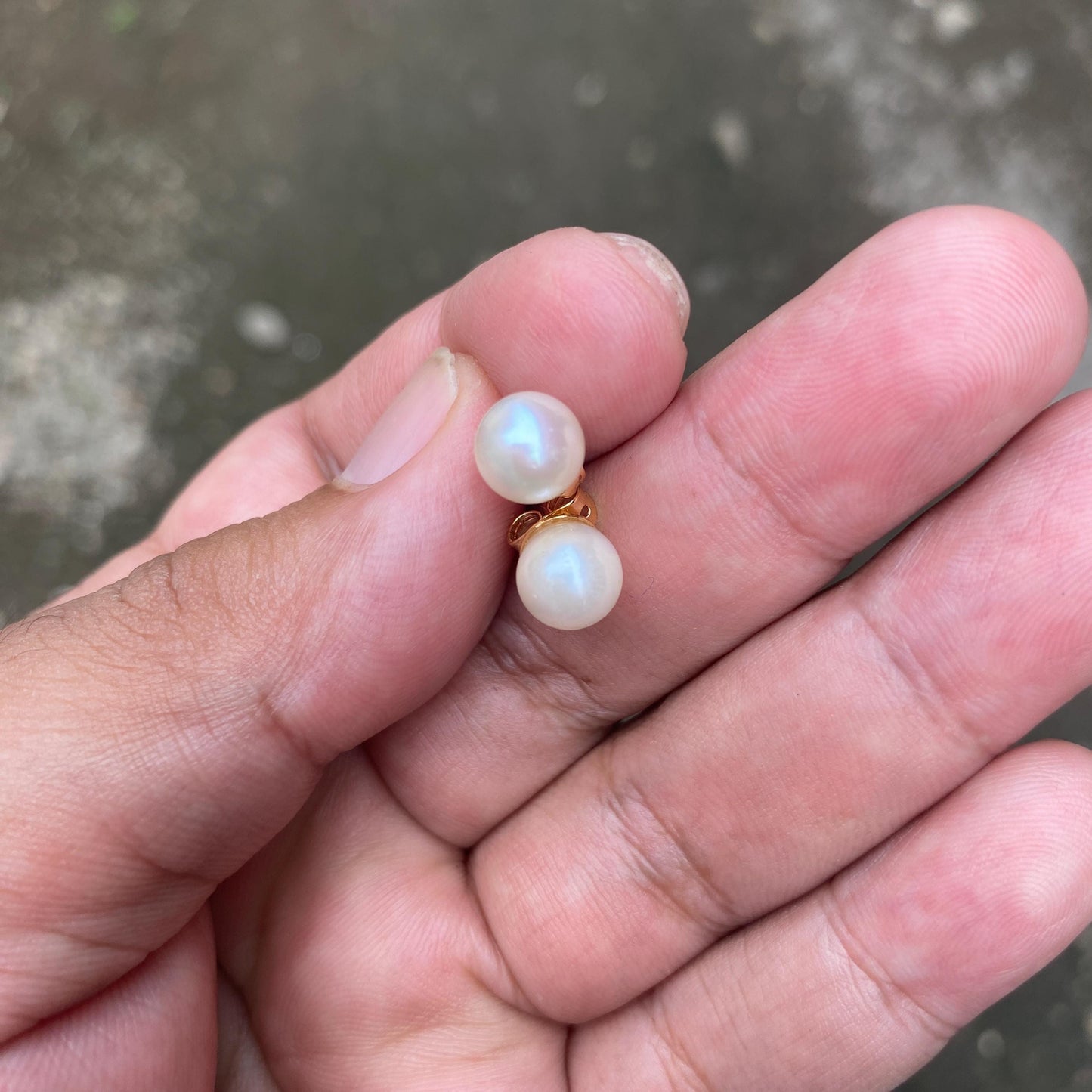 Real south sea pearl saltwater pearl seawater pearl Earrings ( 1 )