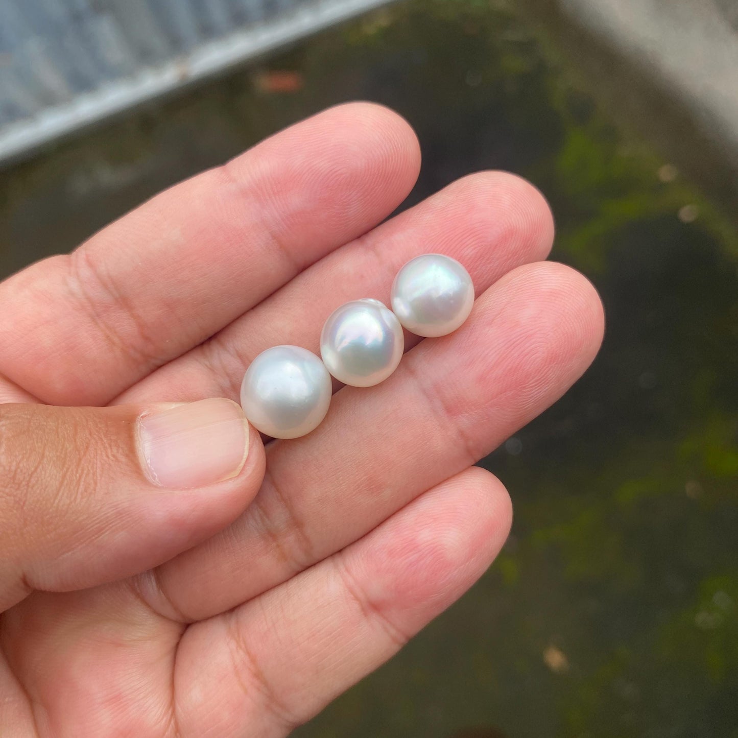 3 Pieces 10.5-11.5mm Loose South Sea Pearl Seawater Pearl Beads Sea Pearl (Amr-1) BoZorX