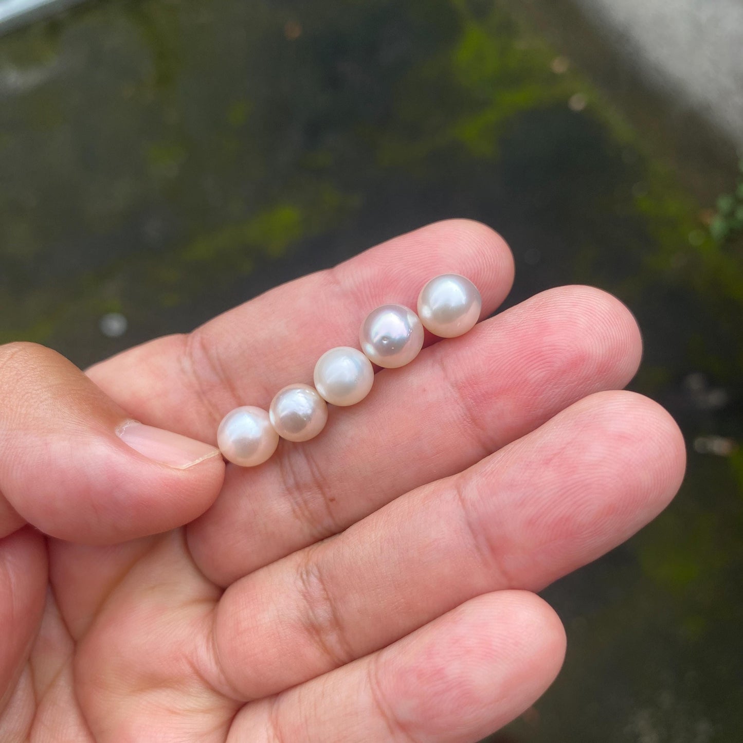 5 Pieces 8-9mm Loose South Sea Pearl Seawater Pearl Beads Sea Pearl (Amr-2)