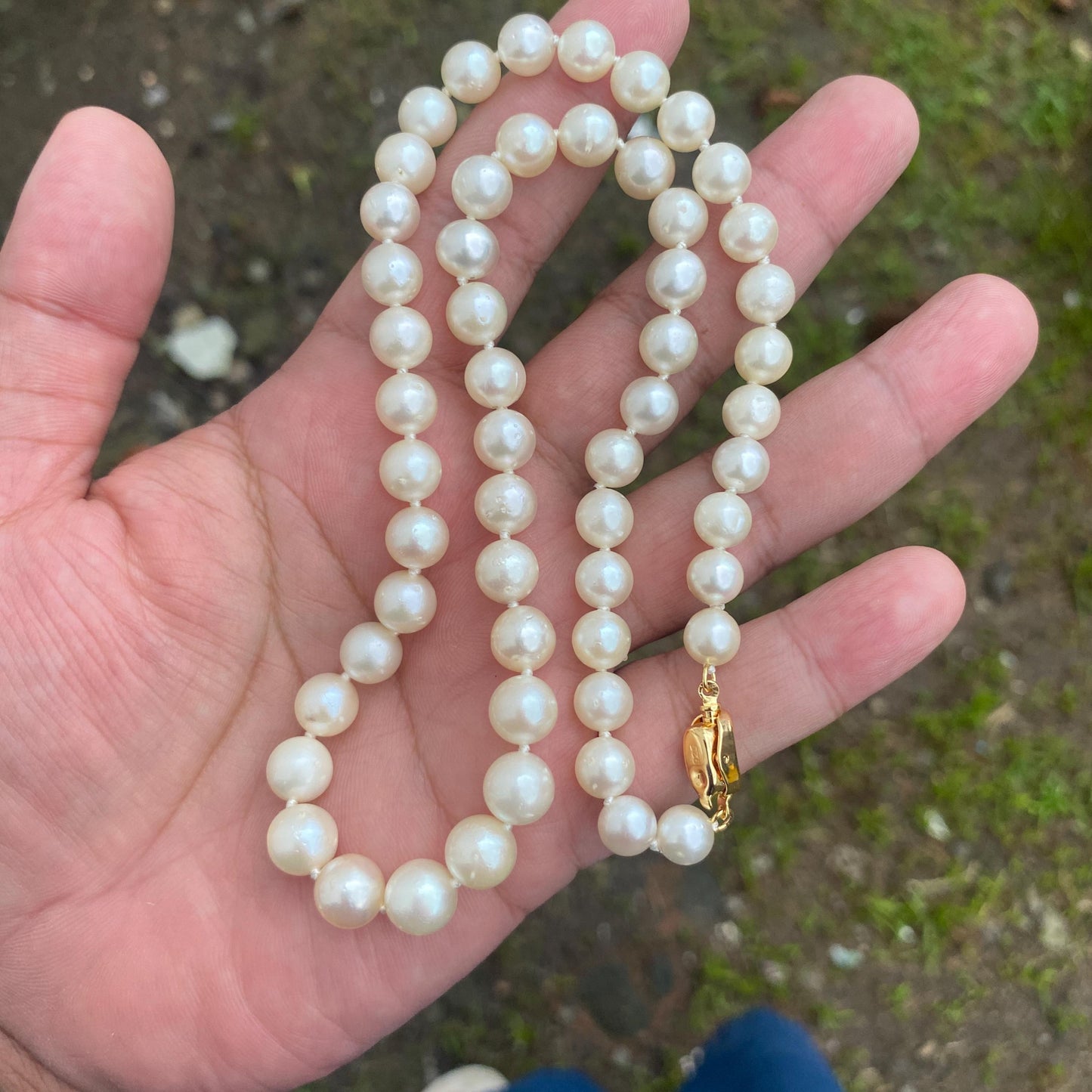 Real south sea pearl saltwater pearl seawater pearl Necklace (BROE-7)