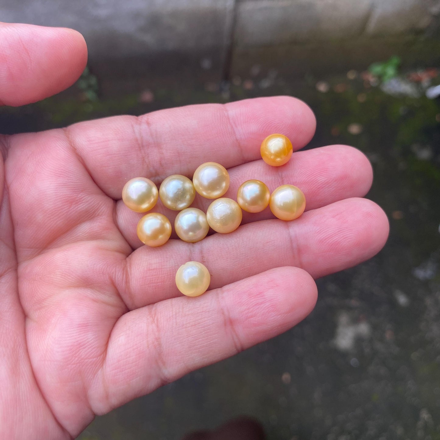 28 Pieces Loose South Sea Pearl Seawater Pearl Beads Sea Pearl Crack (Crk)