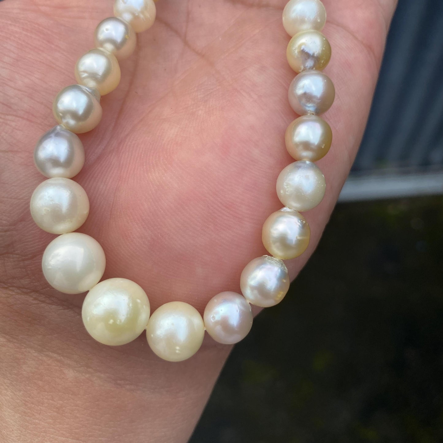 South Sea Pearl Saltwater Seawater Pearl Necklace  (F-15)