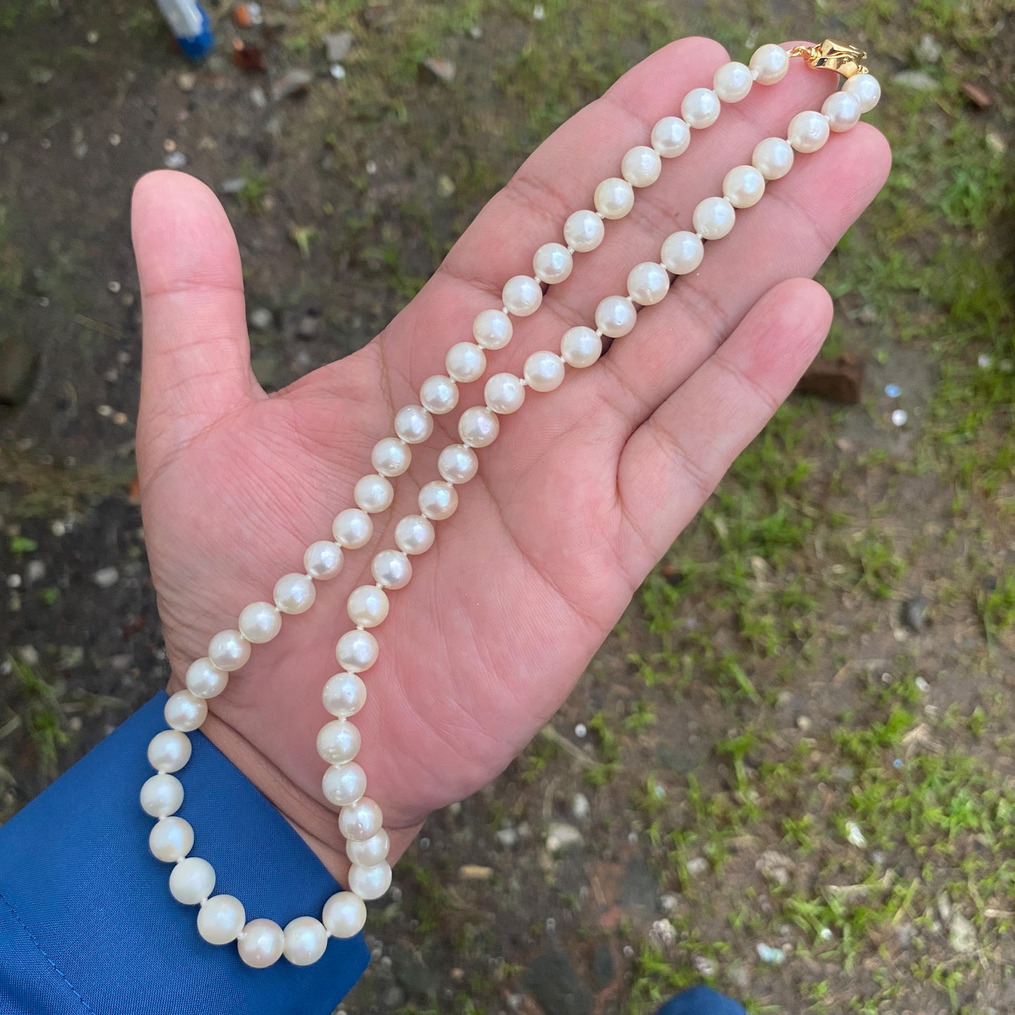 Real south sea pearl saltwater pearl seawater pearl Necklace (BROE-7)