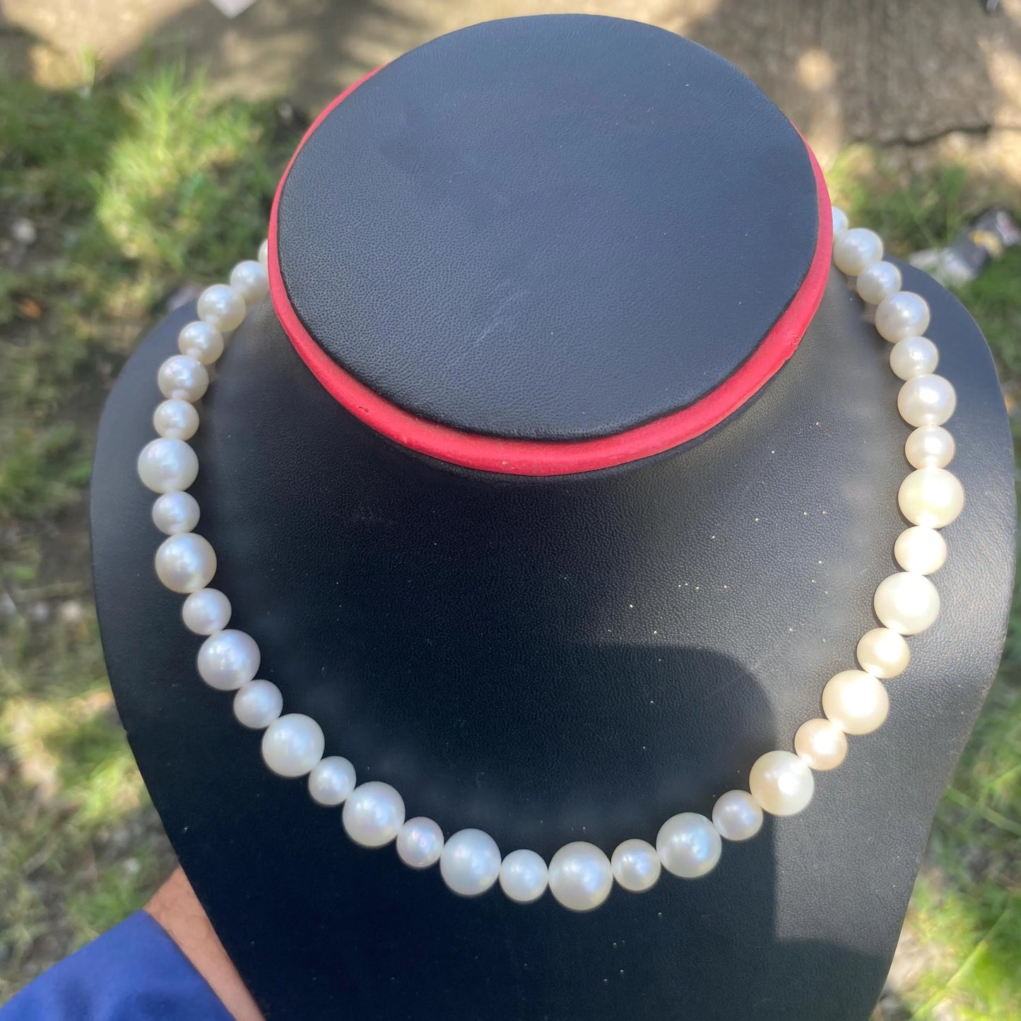 White South Sea Pearl Necklace Saltwater Pearl Necklace Seawater Pearl Necklace (Luster More Than The Photo and Video) (NeW)