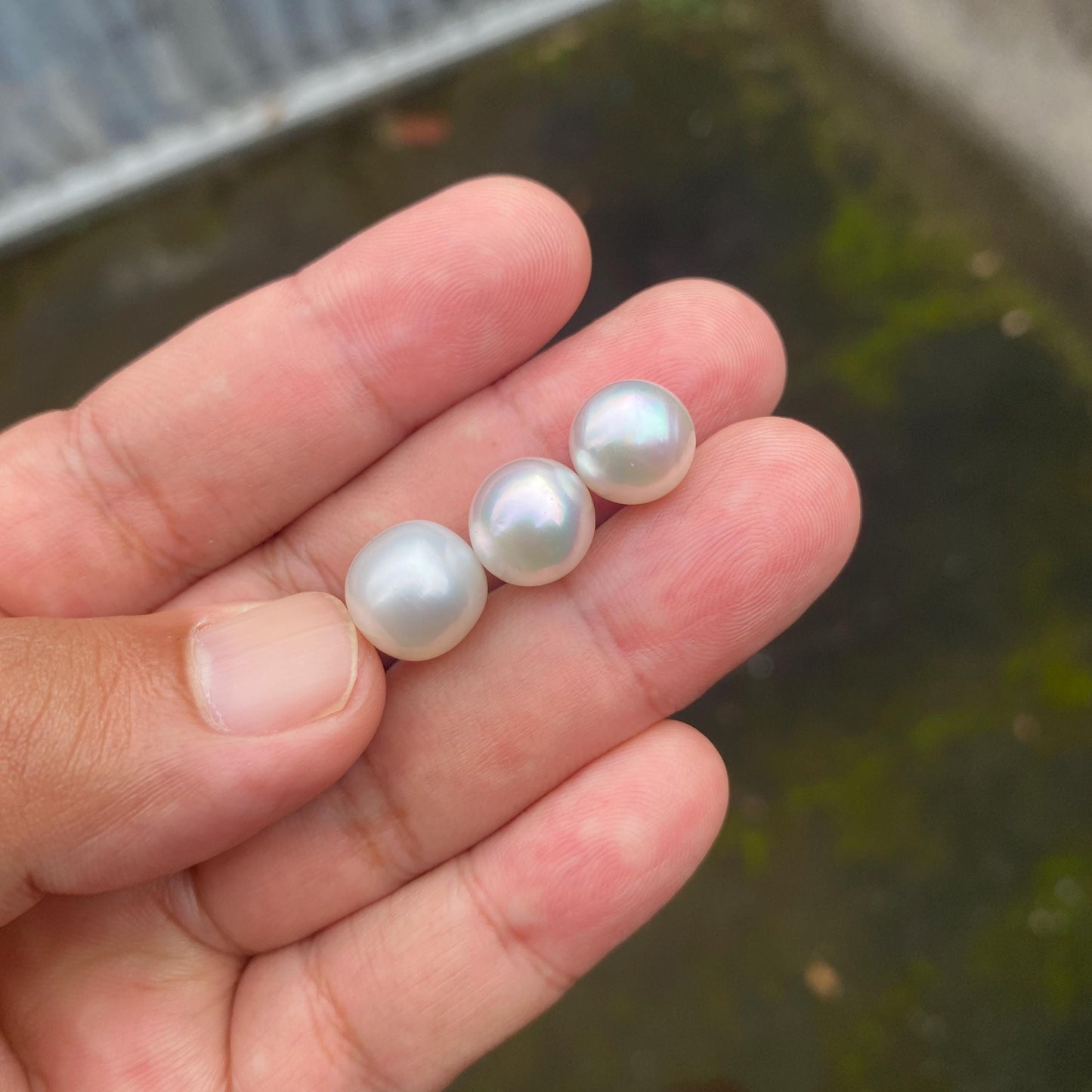 3 Pieces 10.5-11.5mm Loose South Sea Pearl Seawater Pearl Beads Sea Pearl (Amr-1)