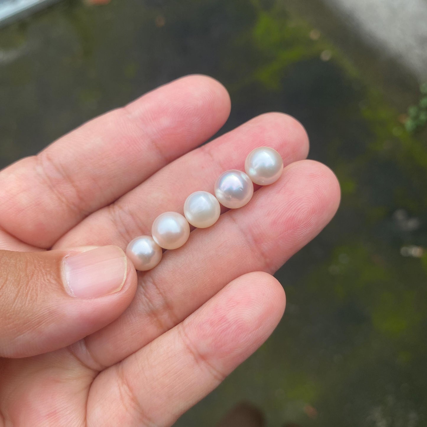 5 Pieces 8-9mm Loose South Sea Pearl Seawater Pearl Beads Sea Pearl (Amr-2)