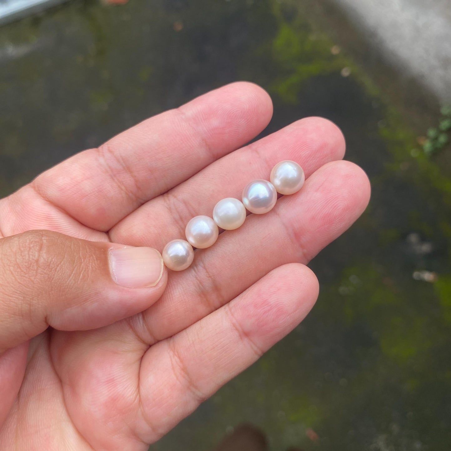 5 Pieces 8-9mm Loose South Sea Pearl Seawater Pearl Beads Sea Pearl (Amr-2)