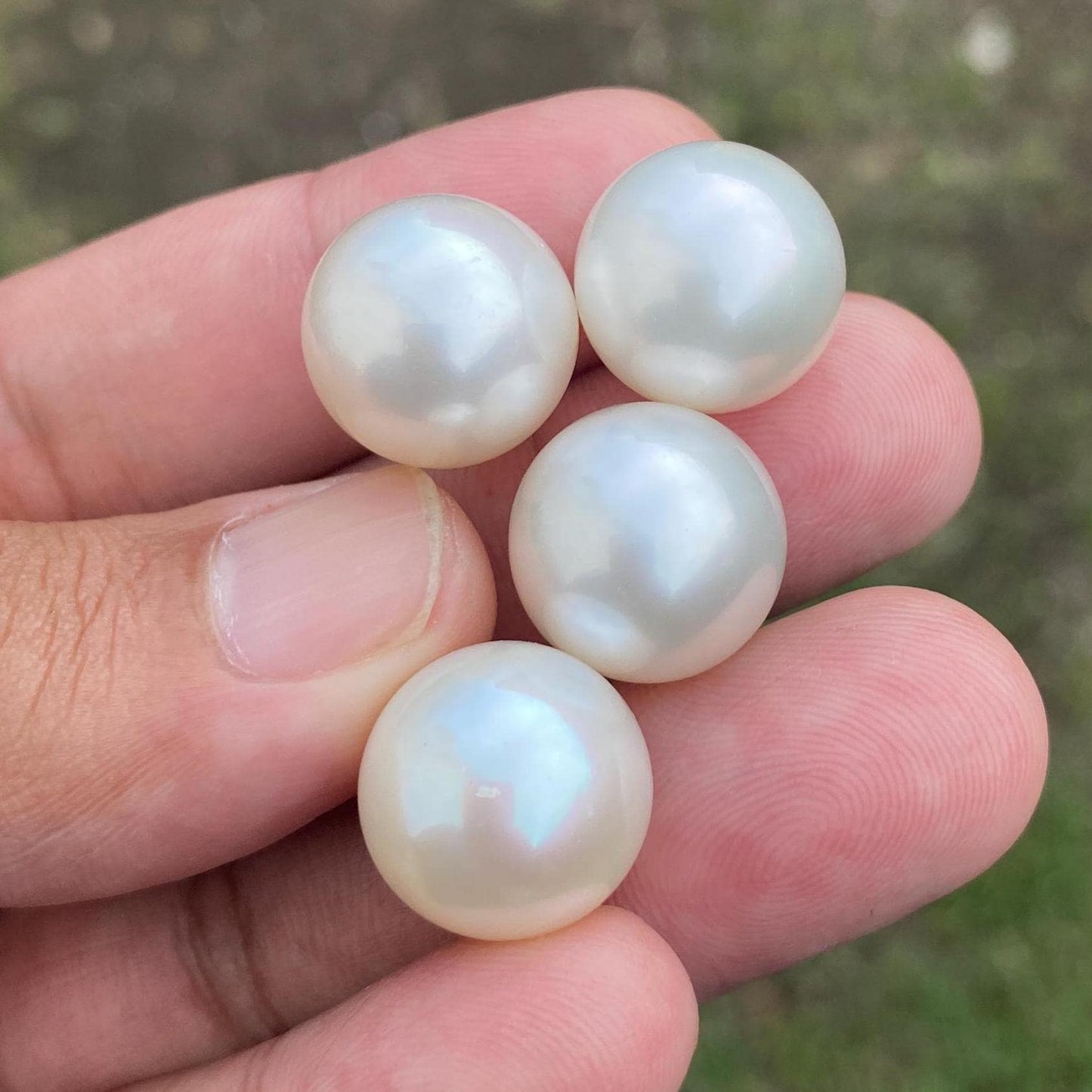 4 Pieces 15mm High Grade Big Size Limited South Sea Pearl Seawater Pearl Saltwater Pearl Undrilled