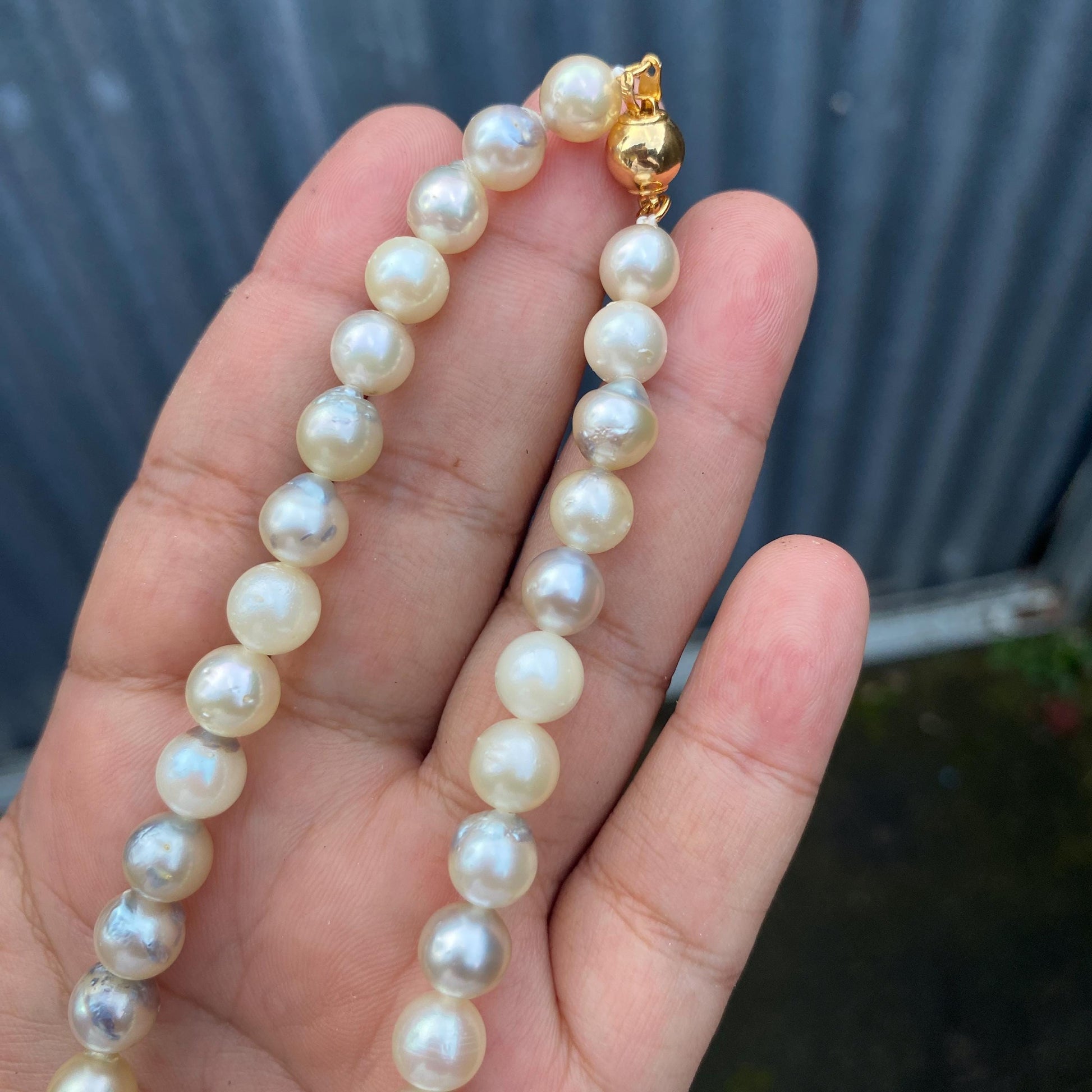 South Sea Pearl Saltwater Seawater Pearl Necklace  (F-15) BoZorX