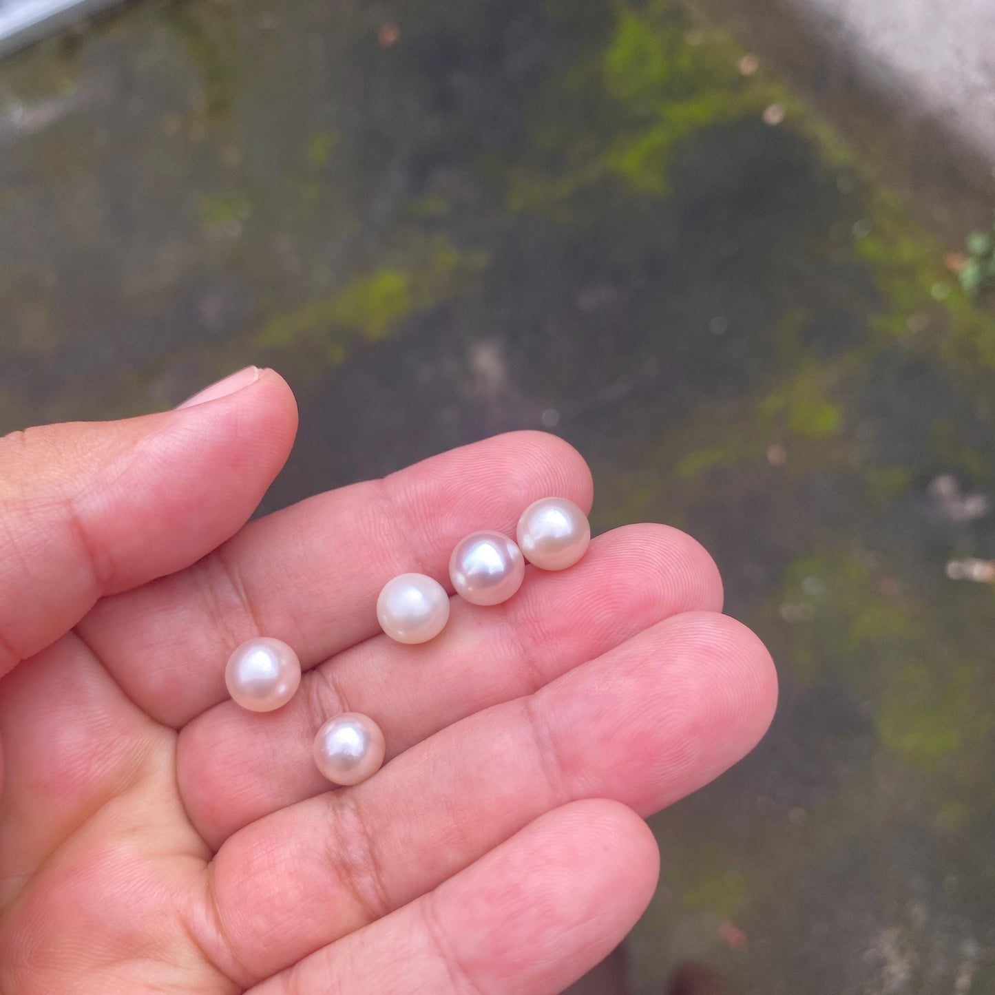 5 Pieces 8-9mm Loose South Sea Pearl Seawater Pearl Beads Sea Pearl (Amr-2)