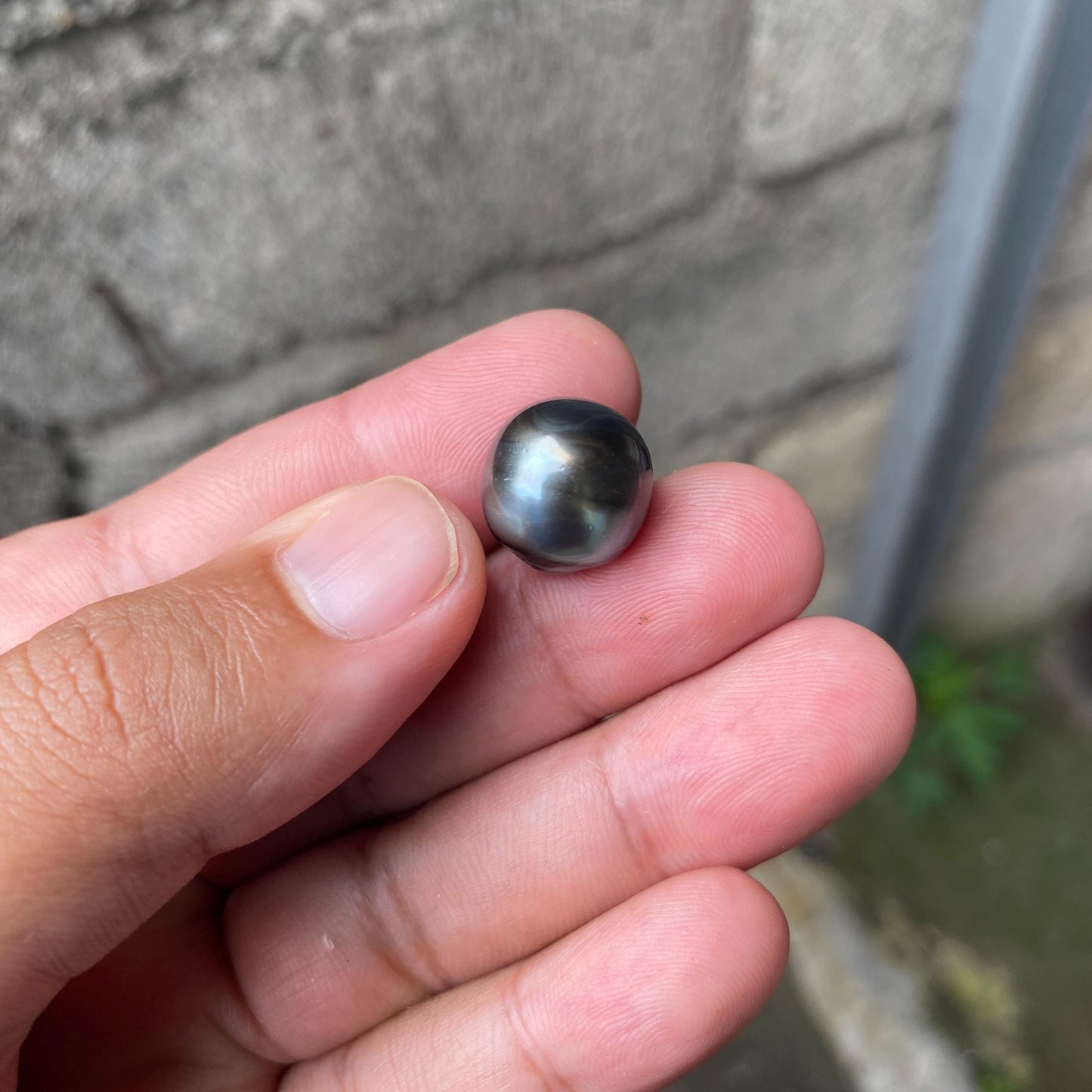 14.5x14mm Loose South Sea Pearl Seawater Pearl Beads Black Pearl (BP-3)