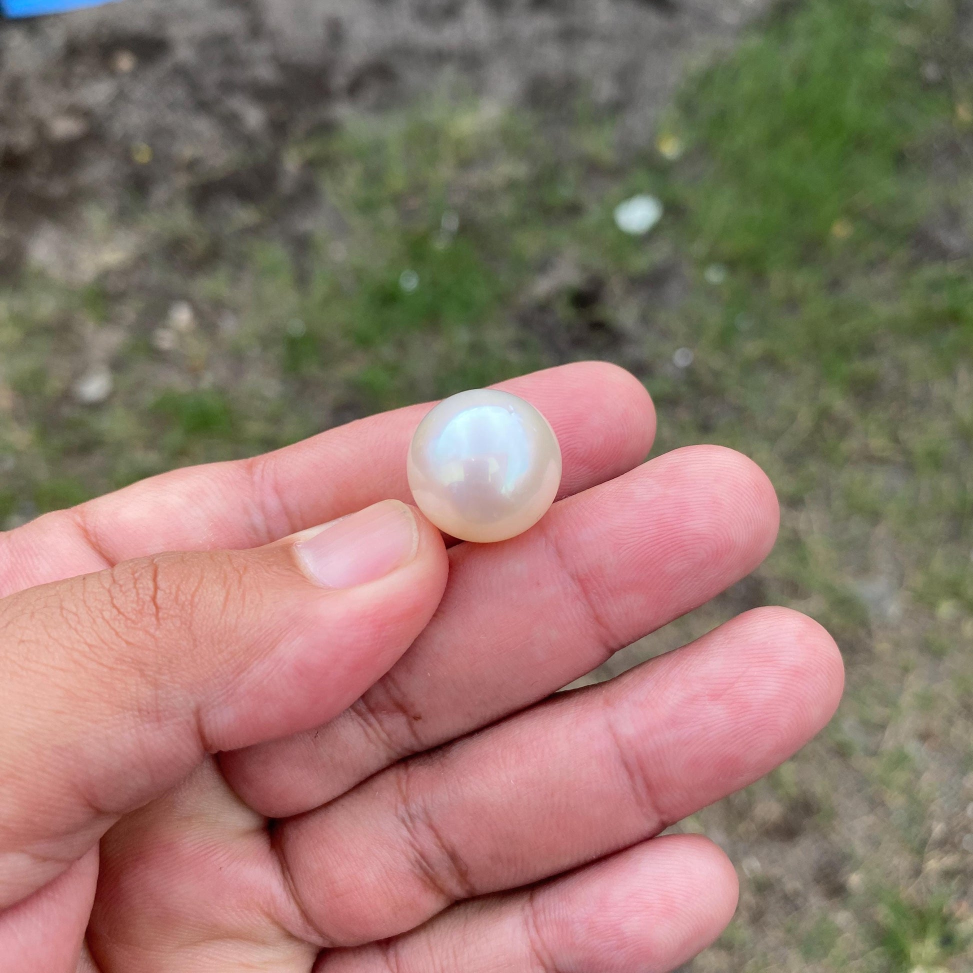 BIG SIZE High Grade Limited South Sea Pearl Seawater Pearl Saltwater Pearl Undrilled F2 BoZorX