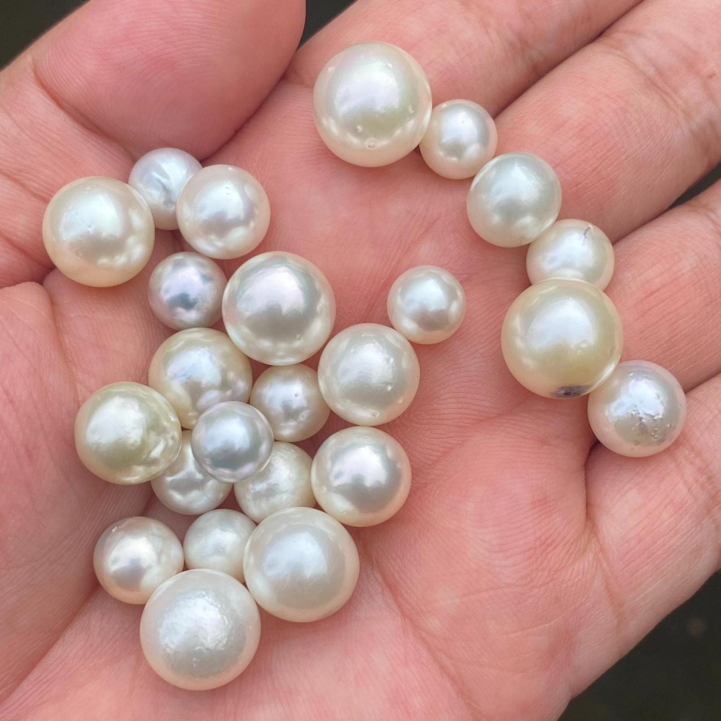 24 Pieces Loose South Sea Pearl Seawater Pearl Beads Sea Pearl (Ms-001)