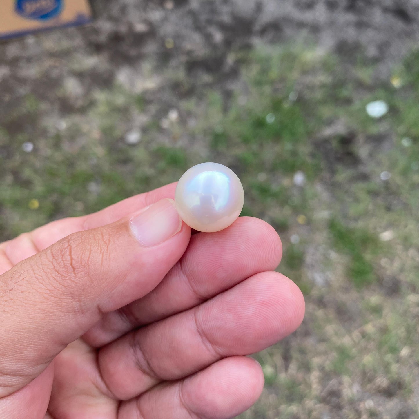 BIG SIZE High Grade Limited South Sea Pearl Seawater Pearl Saltwater Pearl Undrilled F2 BoZorX