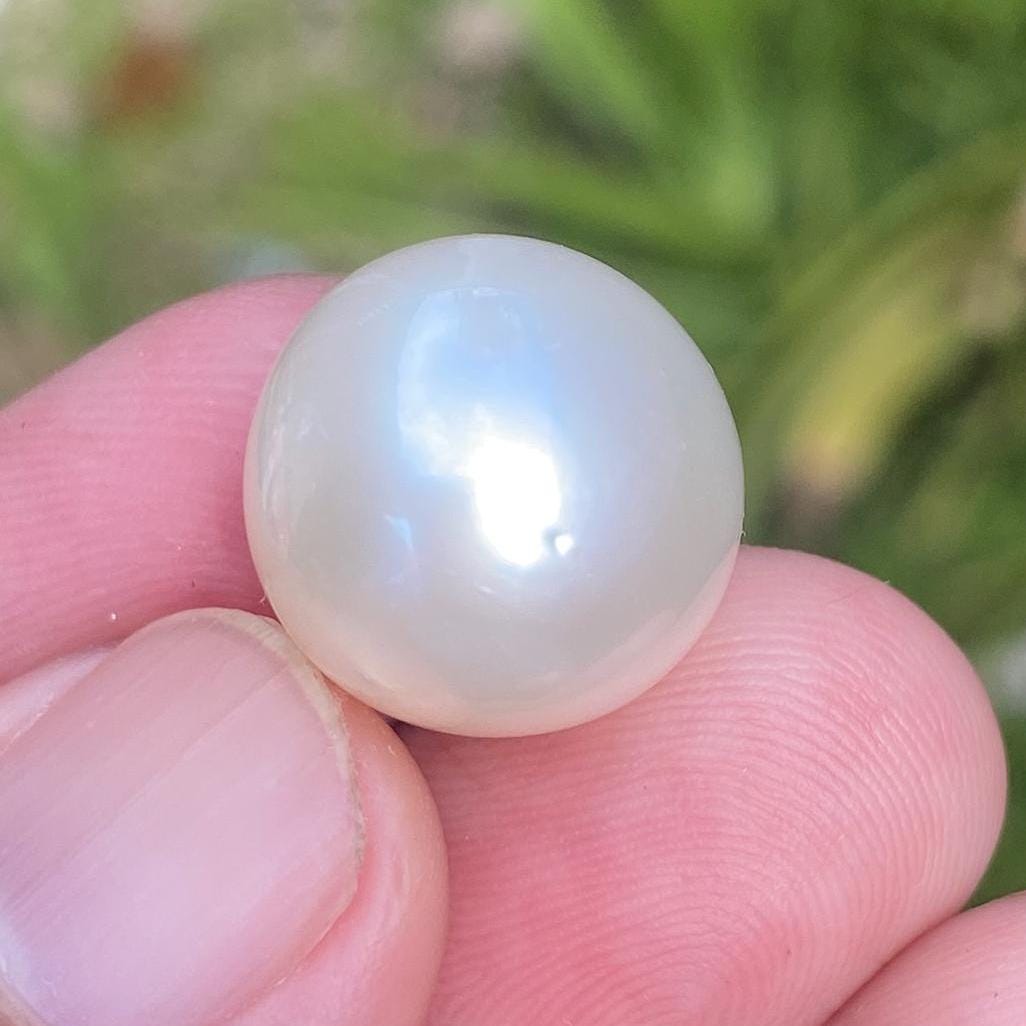 Indonesia 15.5X15mm Loose South Sea Pearl Seawater Pearl Beads Big Size (BSP-4) BoZorX