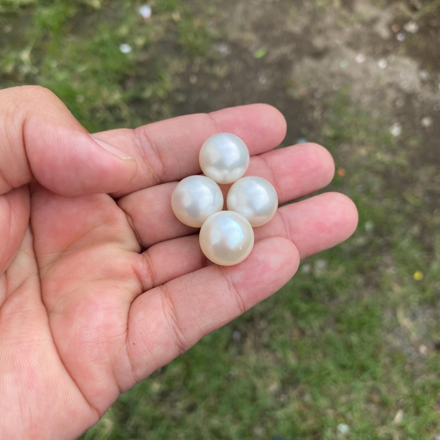 4 Pieces 15mm High Grade Big Size Limited South Sea Pearl Seawater Pearl Saltwater Pearl Undrilled