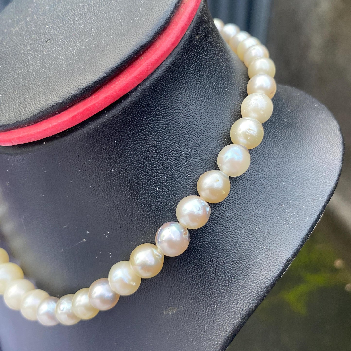 South Sea Pearl Saltwater Seawater Pearl Necklace  (F-15)