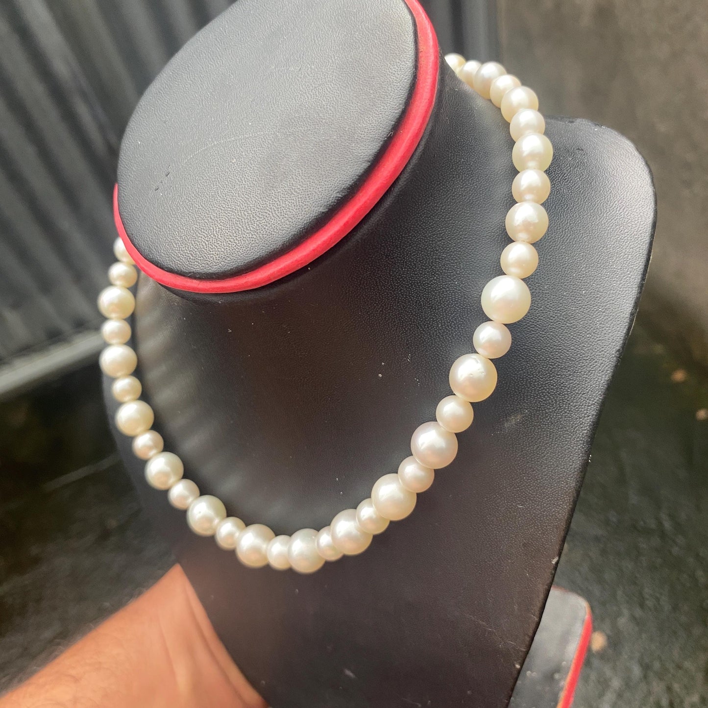 White South Sea Pearl Necklace Saltwater Pearl Necklace Seawater Pearl Necklace (Luster More Than The Photo and Video) (NeW)