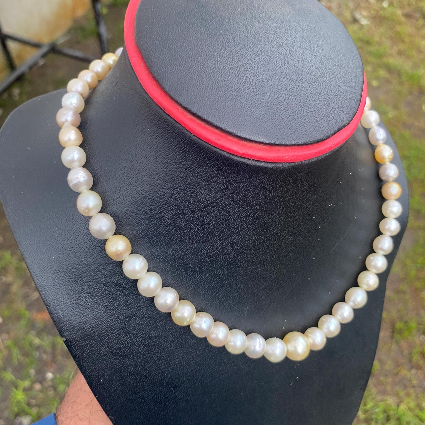 Real south sea pearl saltwater pearl seawater pearl Necklace (BROE-6)