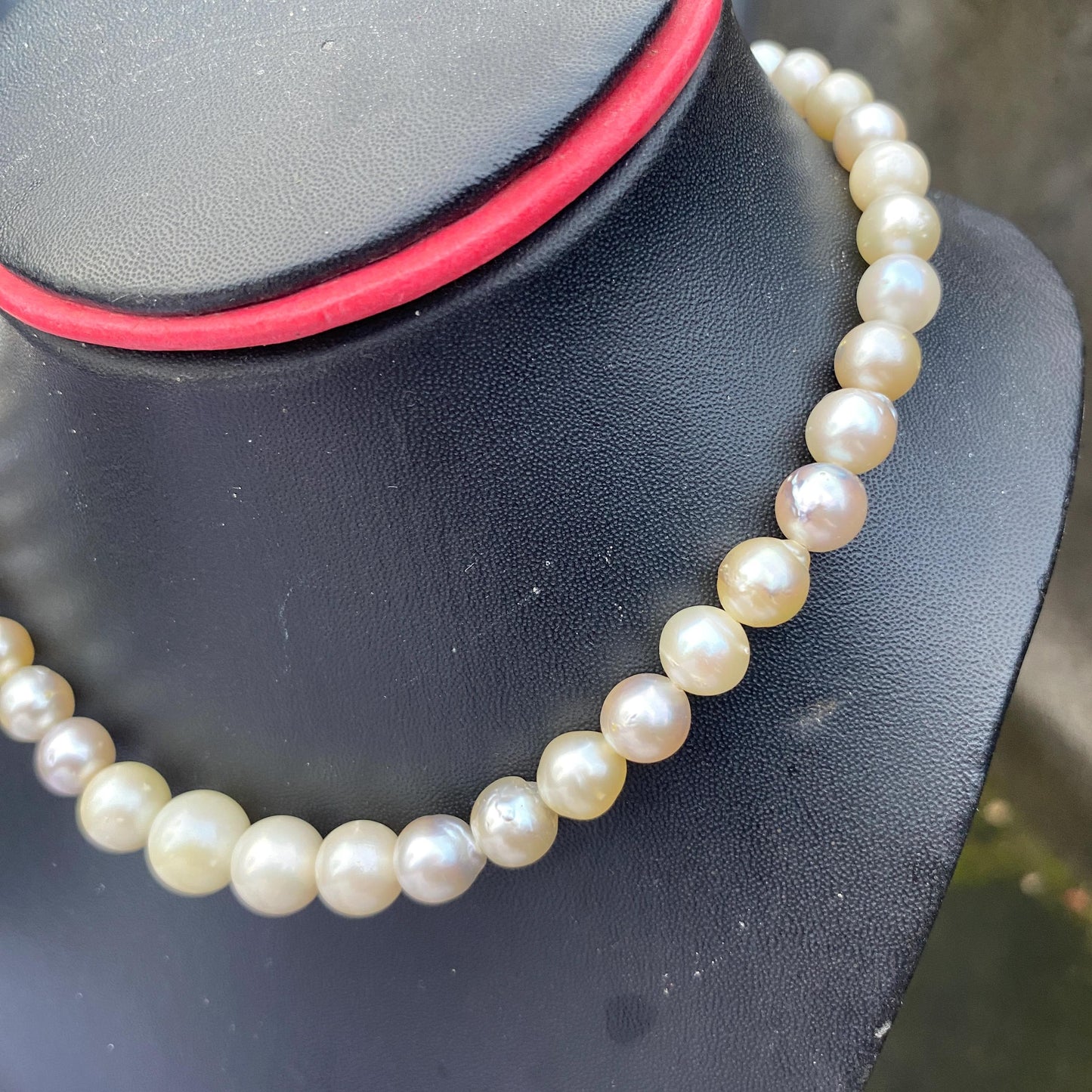 South Sea Pearl Saltwater Seawater Pearl Necklace  (F-15)